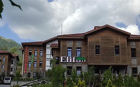 Ayder Elif Apart Daire